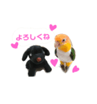 ラブラドールのシェラちゃんのスタンプ（個別スタンプ：8）