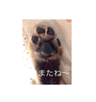 そらみ（個別スタンプ：11）