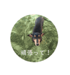 そらみ（個別スタンプ：13）