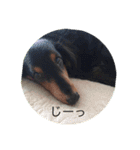 そらみ（個別スタンプ：15）