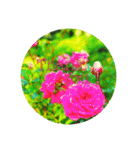 お花写真（個別スタンプ：6）