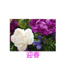 お正月のお花（個別スタンプ：4）