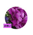 お正月のお花（個別スタンプ：8）