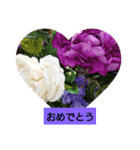 お正月のお花（個別スタンプ：13）