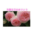 お正月のお花（個別スタンプ：17）