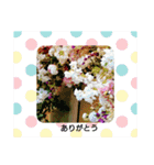 お正月のお花（個別スタンプ：22）