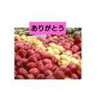 お正月のお花（個別スタンプ：23）