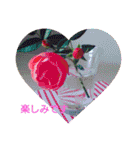 お正月のお花（個別スタンプ：24）