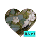 お正月のお花（個別スタンプ：25）