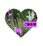お正月のお花（個別スタンプ：26）