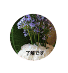 お正月のお花（個別スタンプ：28）