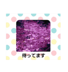 お正月のお花（個別スタンプ：30）