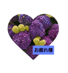 お正月のお花（個別スタンプ：31）