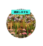 お正月のお花（個別スタンプ：34）