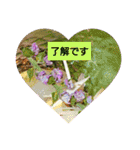 お正月のお花（個別スタンプ：35）