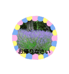 お正月のお花（個別スタンプ：39）