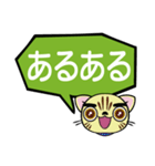 ぺこにゃ～ず【でか文字スタンプ】（個別スタンプ：6）