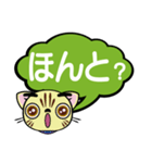 ぺこにゃ～ず【でか文字スタンプ】（個別スタンプ：16）