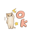可愛い子猫のでか文字スタンプ～英語ver～（個別スタンプ：1）