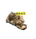 むてぃおくん（個別スタンプ：1）