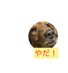 むてぃおくん（個別スタンプ：2）