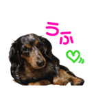 conamon's 6（個別スタンプ：4）