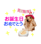 conamon's 6（個別スタンプ：20）