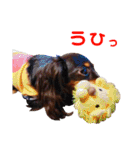 conamon's 6（個別スタンプ：21）