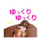 conamon's 6（個別スタンプ：22）