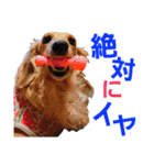 conamon's 6（個別スタンプ：25）