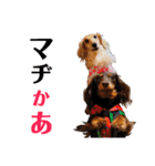 conamon's 6（個別スタンプ：27）