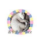 可愛い猫あめちゃん（個別スタンプ：2）