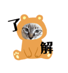 可愛い猫あめちゃん（個別スタンプ：8）