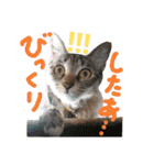 なななちゃん3（個別スタンプ：18）