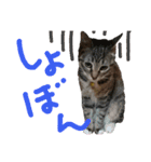 なななちゃん3（個別スタンプ：31）