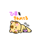 ひとこと伝えるトラちゃん。スタンプ（個別スタンプ：27）