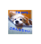 すーたんぴー（個別スタンプ：4）