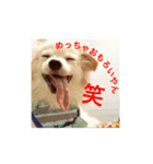 すーたんぴー（個別スタンプ：5）