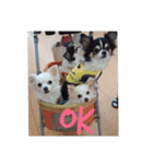 はぴちゃんず（個別スタンプ：1）