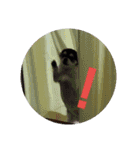 はぴちゃんず（個別スタンプ：4）