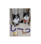 はぴちゃんず（個別スタンプ：13）