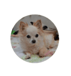 はぴちゃんず（個別スタンプ：14）