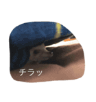 ハリネズミの大福ちゃん（個別スタンプ：9）