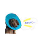 めいこ スタンプ（個別スタンプ：8）