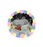 ペキニーズ(龍之介)（個別スタンプ：8）