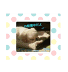 ペキニーズ(龍之介)（個別スタンプ：9）