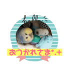 幸助（個別スタンプ：1）