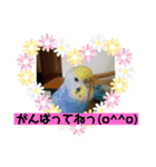 幸助（個別スタンプ：3）