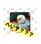 幸助（個別スタンプ：4）