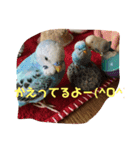幸助（個別スタンプ：6）
